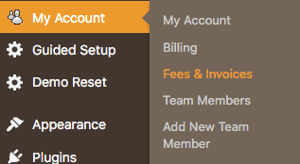 Fees&invoicesMPbilling