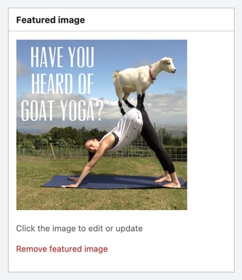 The Featured image box with an image set, and Click the image to edit or update and Remove featured image below it